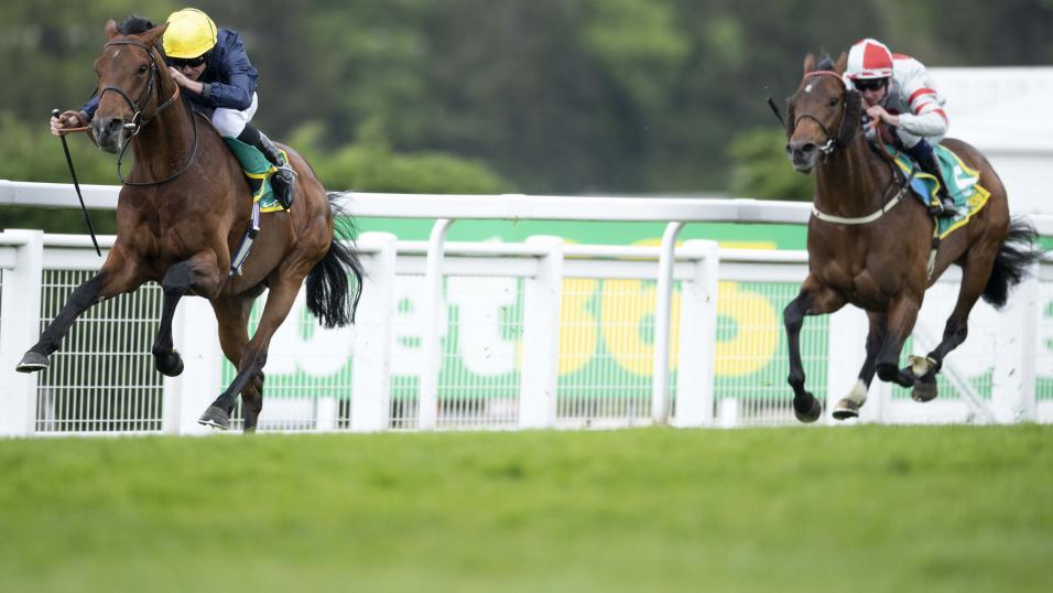 Crystal Ocean horse racing
